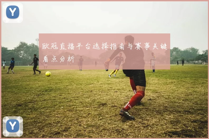 欧冠直播平台选择指南与赛事关键看点分析
