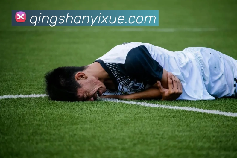 多媒体互动体验